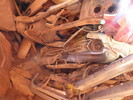 photo thumbnail #12