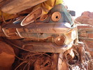 photo thumbnail #13