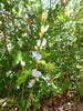 photo thumbnail #14