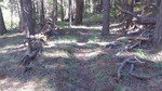 photo thumbnail #4