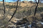 photo thumbnail #13