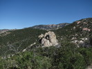 photo thumbnail #2