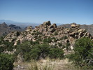 photo thumbnail #5