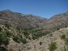 photo thumbnail #10