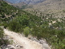 photo thumbnail #13