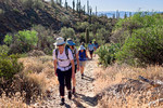 photo thumbnail #3