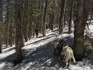 photo thumbnail #7