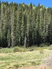 photo thumbnail #14