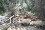 photo thumbnail #6