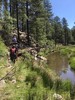 photo thumbnail #5