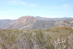 photo thumbnail #4