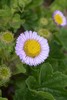 photo thumbnail #14