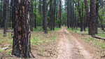 photo thumbnail #13