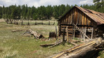 photo thumbnail #12
