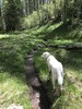 photo thumbnail #6