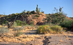 photo thumbnail #3