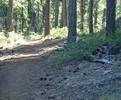photo thumbnail #9