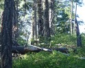 photo thumbnail #10