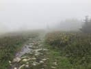 photo thumbnail #14