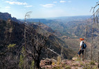 photo thumbnail #12