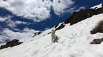 photo thumbnail #9