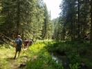 photo thumbnail #4