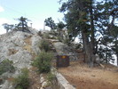 photo thumbnail #7