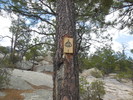 photo thumbnail #14