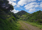 photo thumbnail #5