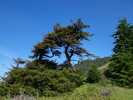 photo thumbnail #11