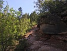 photo thumbnail #3