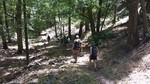photo thumbnail #14