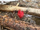 photo thumbnail #9