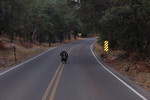 photo thumbnail #2