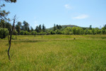 photo thumbnail #14