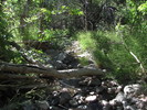 photo thumbnail #7