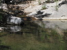 photo thumbnail #15