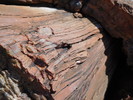 photo thumbnail #15