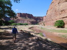 photo thumbnail #10
