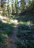 photo thumbnail #3