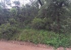 photo thumbnail #15