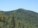 photo thumbnail #8