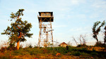 photo thumbnail #10