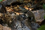 photo thumbnail #7