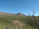 photo thumbnail #11