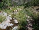 photo thumbnail #12