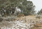 photo thumbnail #5