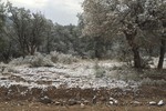 photo thumbnail #6