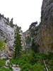 photo thumbnail #13