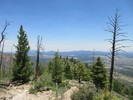 photo thumbnail #2
